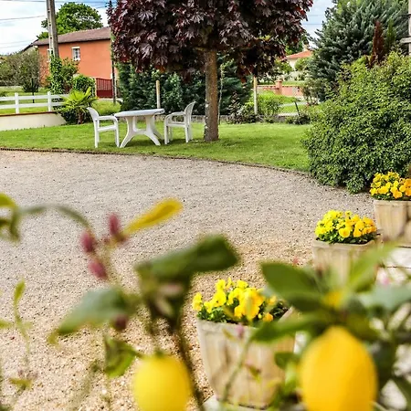 Joli - Piscine - 68m2 - * Gaillac