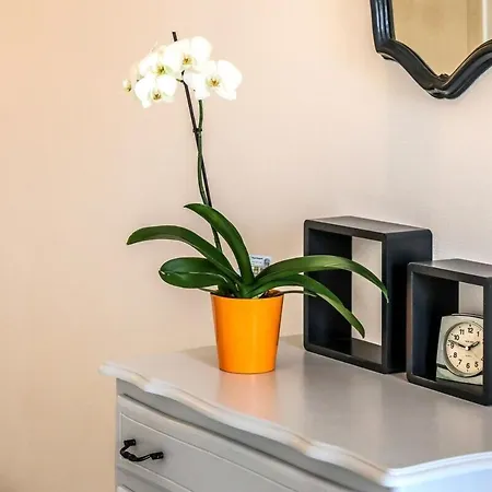 Appartement Joli - Piscine - 68m2 -