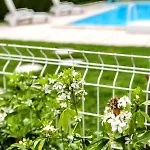 Joli - Piscine - 68m2 - גיילאק