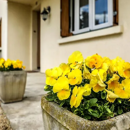 Joli - Piscine - 68m2 - Apartamento