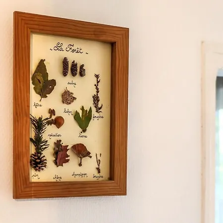 Apartamento Joli - Piscine - 68m2 - *