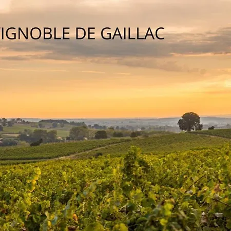 Joli - Piscine - 68m2 - Gaillac