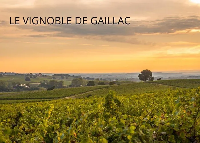 Joli - Piscine - 68m2 - Gaillac